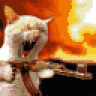 PsiXTiger