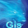dima_gisit